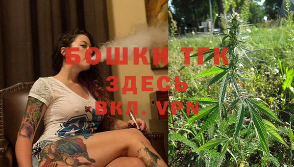 стафф Аркадак