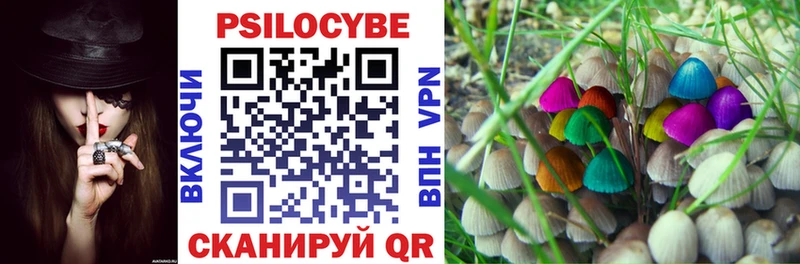 закладка  Сосновоборск  Галлюциногенные грибы Magic Shrooms 